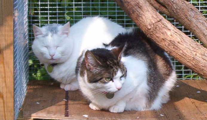 Misty with her friend