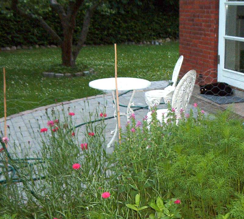 What time do you call this!