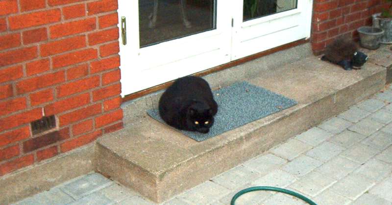 All alone and feeling blue