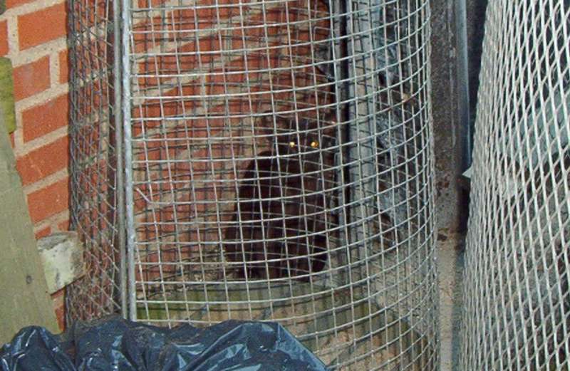 Peek-a-boo, I can see YOU