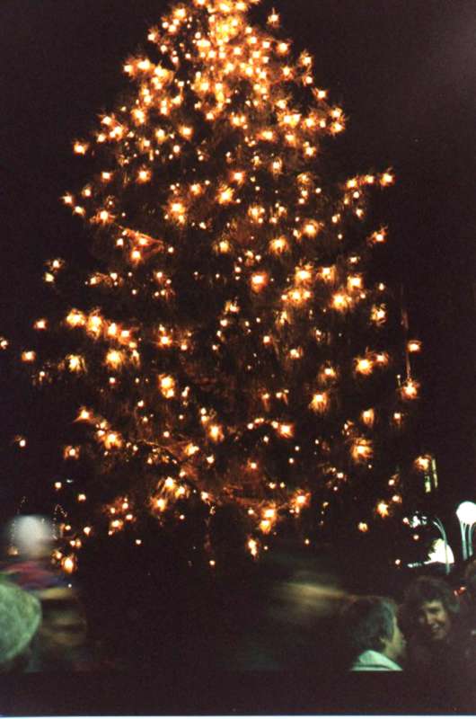 Christmas tree in front of the Town Hall
