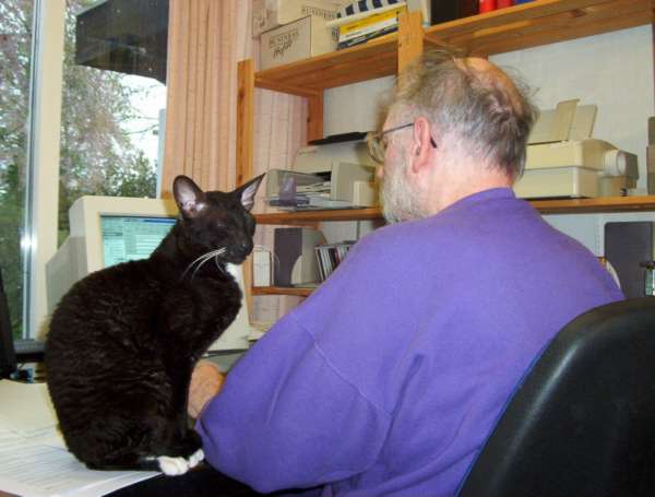 cats always help!